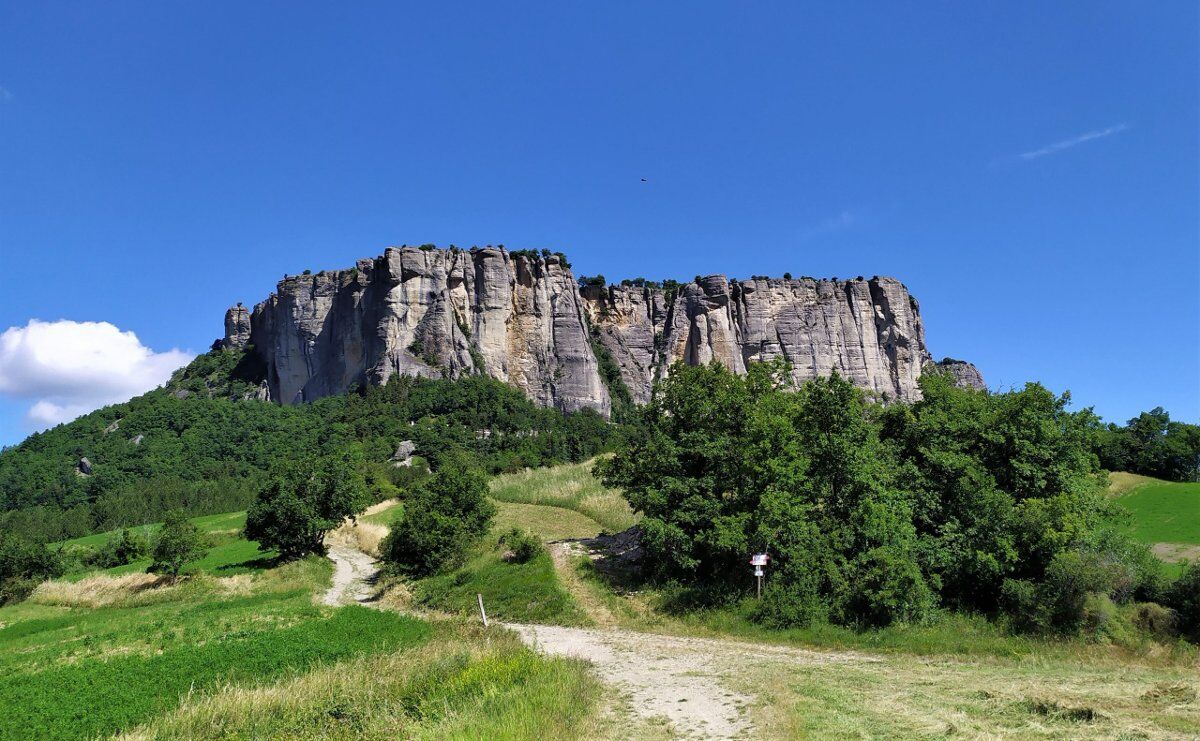 Panoramico trekking pomeridiano: big bench viola e grigliata finale desktop picture