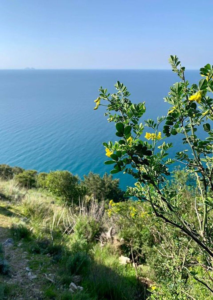 Escursione tra cielo e mare sul promontorio del Circeo Escursione tra cielo e mare sul promontorio del Circeo desktop picture