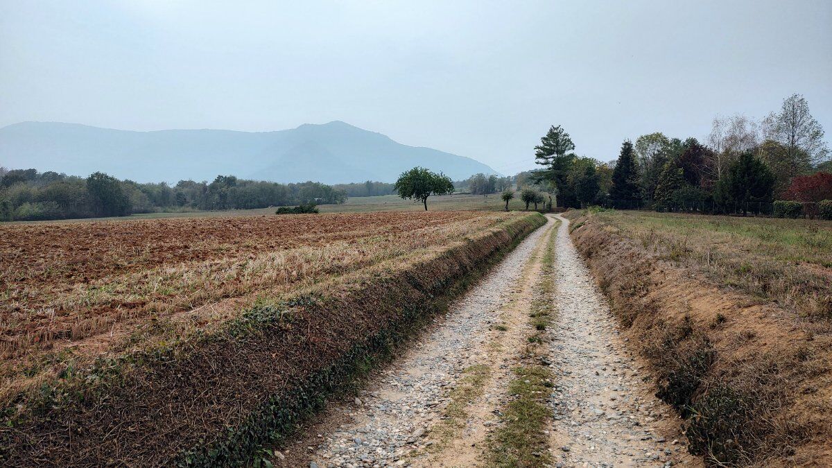 Trekking alle porte di Torino: camminata tra gli ex ghiacciai Trekking alle porte di Torino: camminata tra gli ex ghiacciai desktop picture
