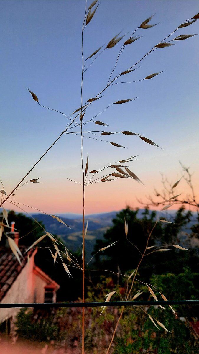 Escursione a San Giovanni in Galilea: il sentiero di Garibaldi desktop picture