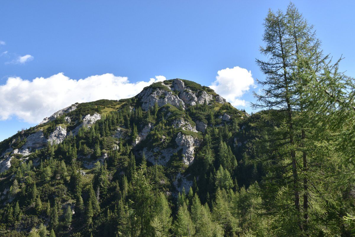 Trekking sul monte Crot: un balcone sulle valli di Zoldo e Fiorentina desktop picture
