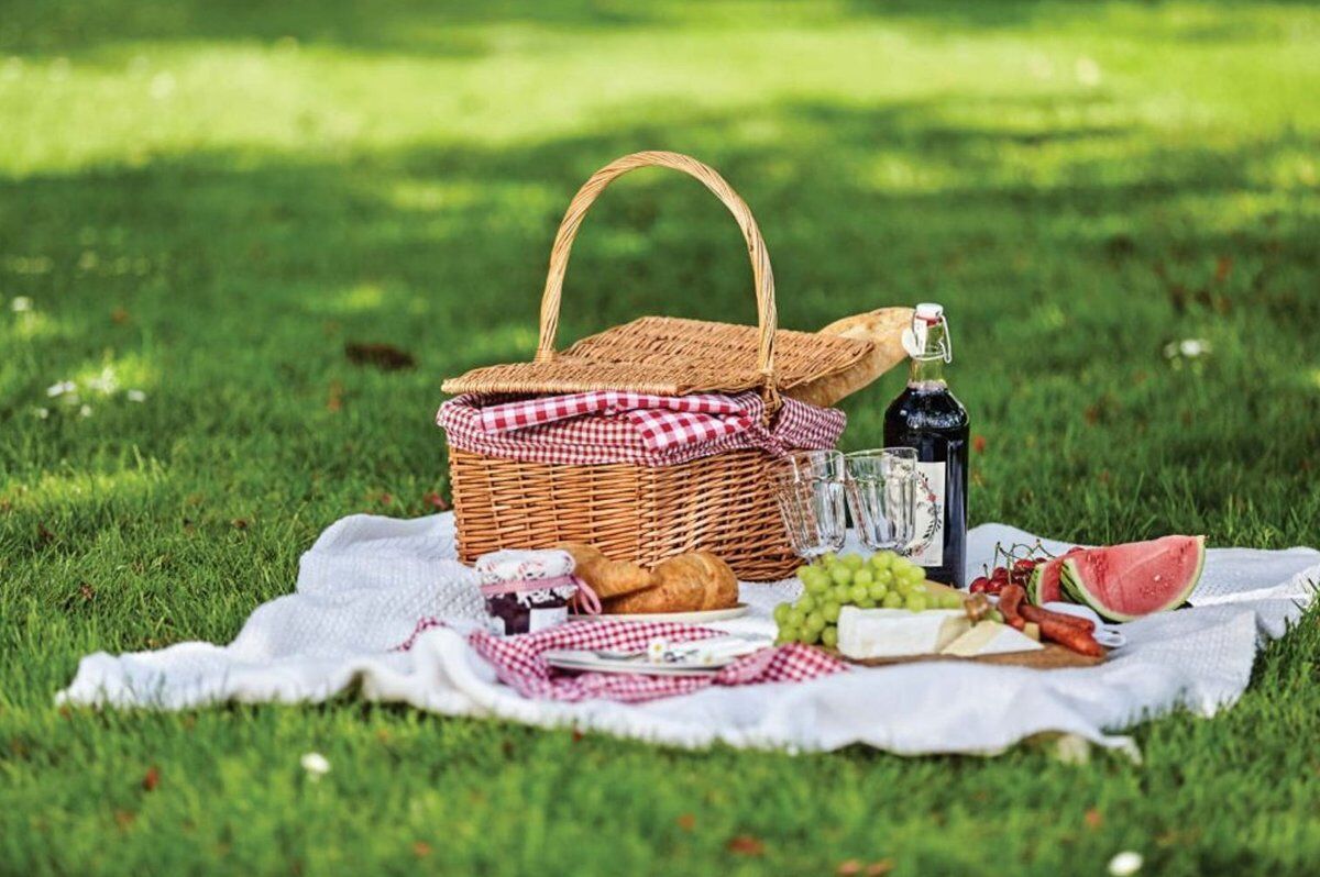 Picnic estivo nel verde di Parco Sempione a Milano Picnic estivo nel verde di Parco Sempione a Milano desktop picture
