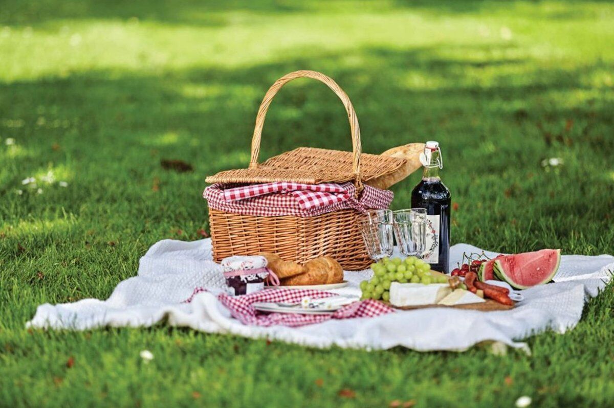 Picnic estivo nel verde di Parco Sempione a Milano desktop picture