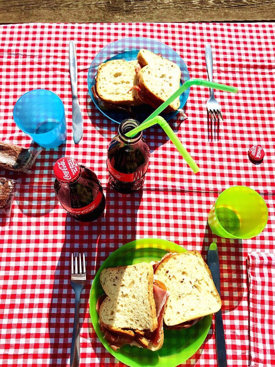 Picnic estivo nel verde del Parco delle Caprette a Reggio Emilia Picnic estivo nel verde del Parco delle Caprette a Reggio Emilia desktop picture