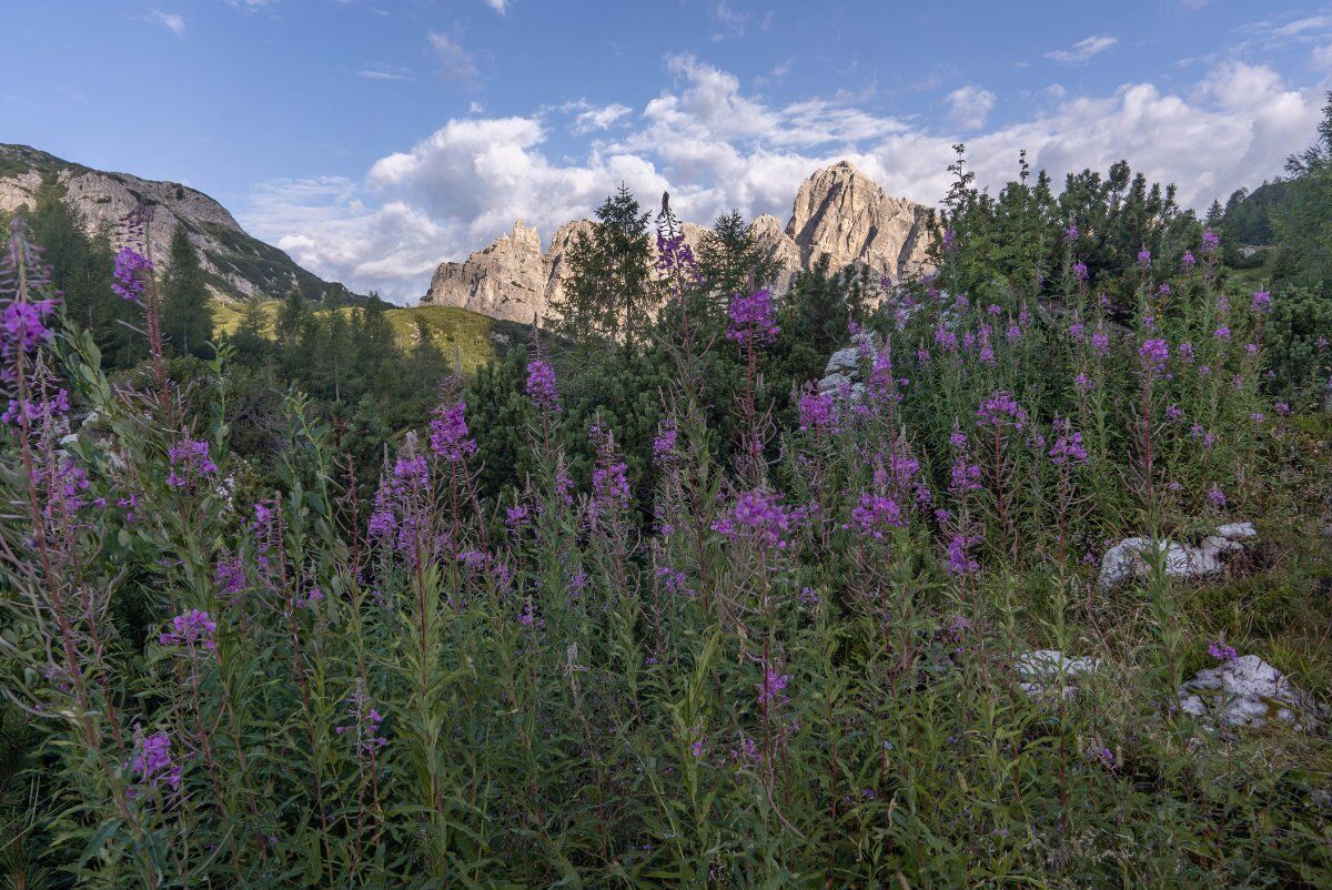 Escursione nel Parco delle Dolomiti Bellunesi: il Pramperet Escursione nel Parco delle Dolomiti Bellunesi: il Pramperet desktop picture