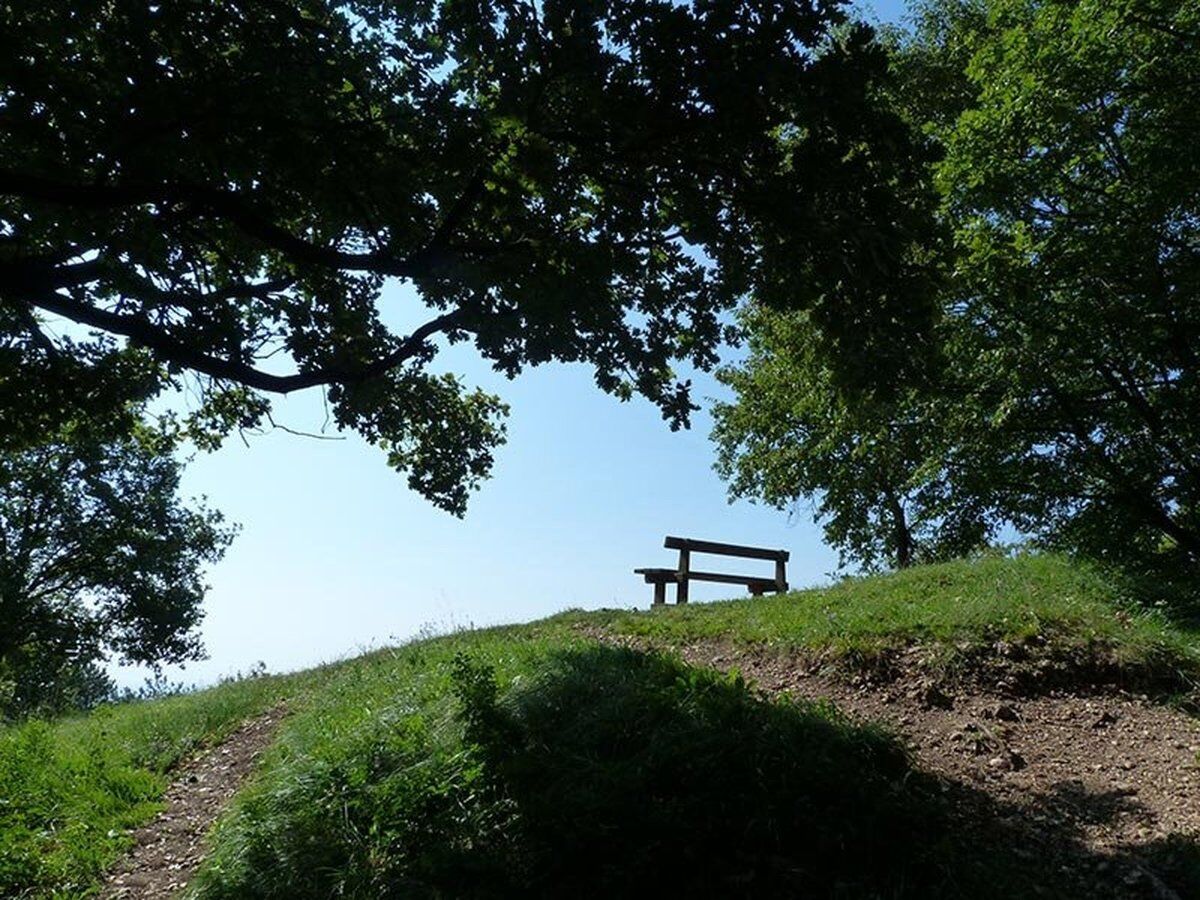 Passeggiata fino al Monte Sulder: i Colli Asolani e le Prealpi Venete Passeggiata fino al Monte Sulder: i Colli Asolani e le Prealpi Venete desktop picture