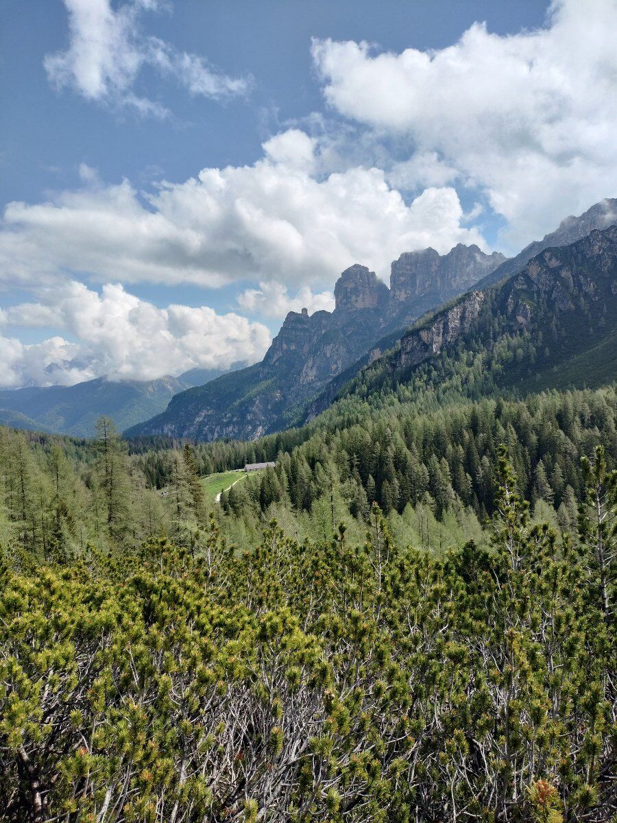 L'anello del Moschesin nel Parco Nazionale Dolomiti Bellunesi desktop picture