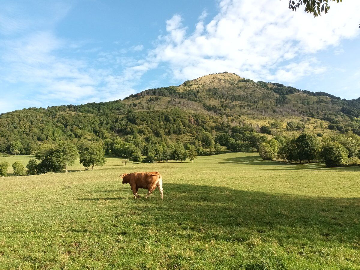 Trekking a cima Marana: la montagna sacra dell’Alto Vicentino Trekking a cima Marana: la montagna sacra dell’Alto Vicentino desktop picture