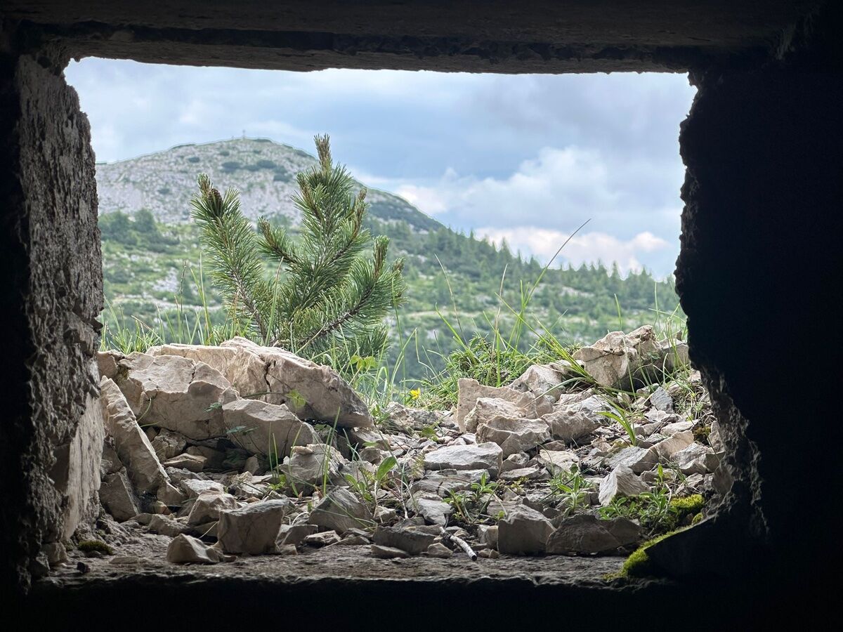 I luoghi della Grande Guerra: escursione a Cima Caldiera e al Monte Ortigara I luoghi della Grande Guerra: escursione a Cima Caldiera e al Monte Ortigara desktop picture