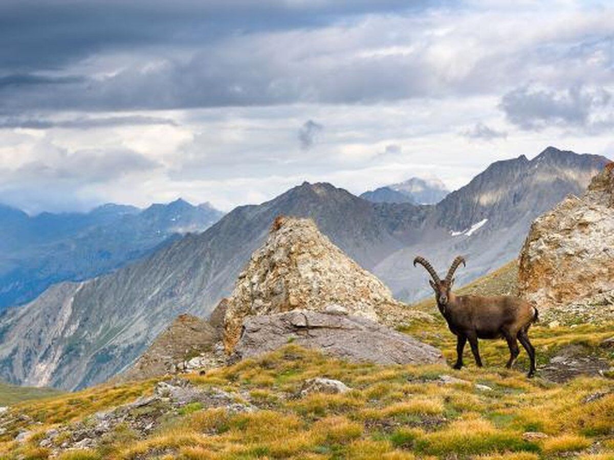 Escursione dal Lago del Serrù al Lago delle Rocce Escursione dal Lago del Serrù al Lago delle Rocce desktop picture