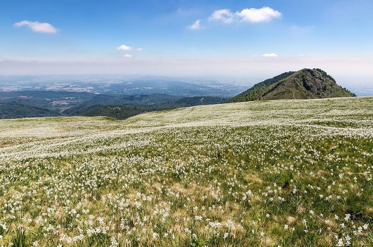 Escursione Crepuscolare in Alto Piemonte in direzione del Pian delle Nere Escursione Crepuscolare in Alto Piemonte in direzione del Pian delle Nere desktop picture