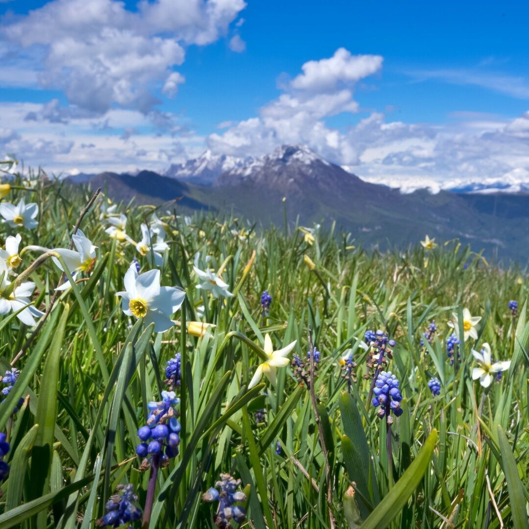 Escursione Crepuscolare in Alto Piemonte in direzione del Pian delle Nere Escursione Crepuscolare in Alto Piemonte in direzione del Pian delle Nere desktop picture