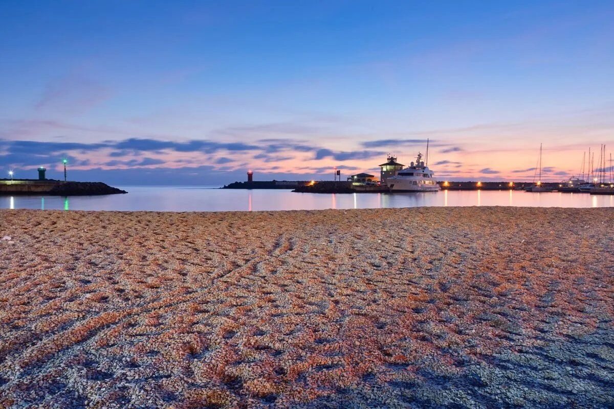 Serata di San Lorenzo sotto le Perseidi di Ostia: osservazione stellare e Mitologia Serata di San Lorenzo sotto le Perseidi di Ostia: osservazione stellare e Mitologia desktop picture