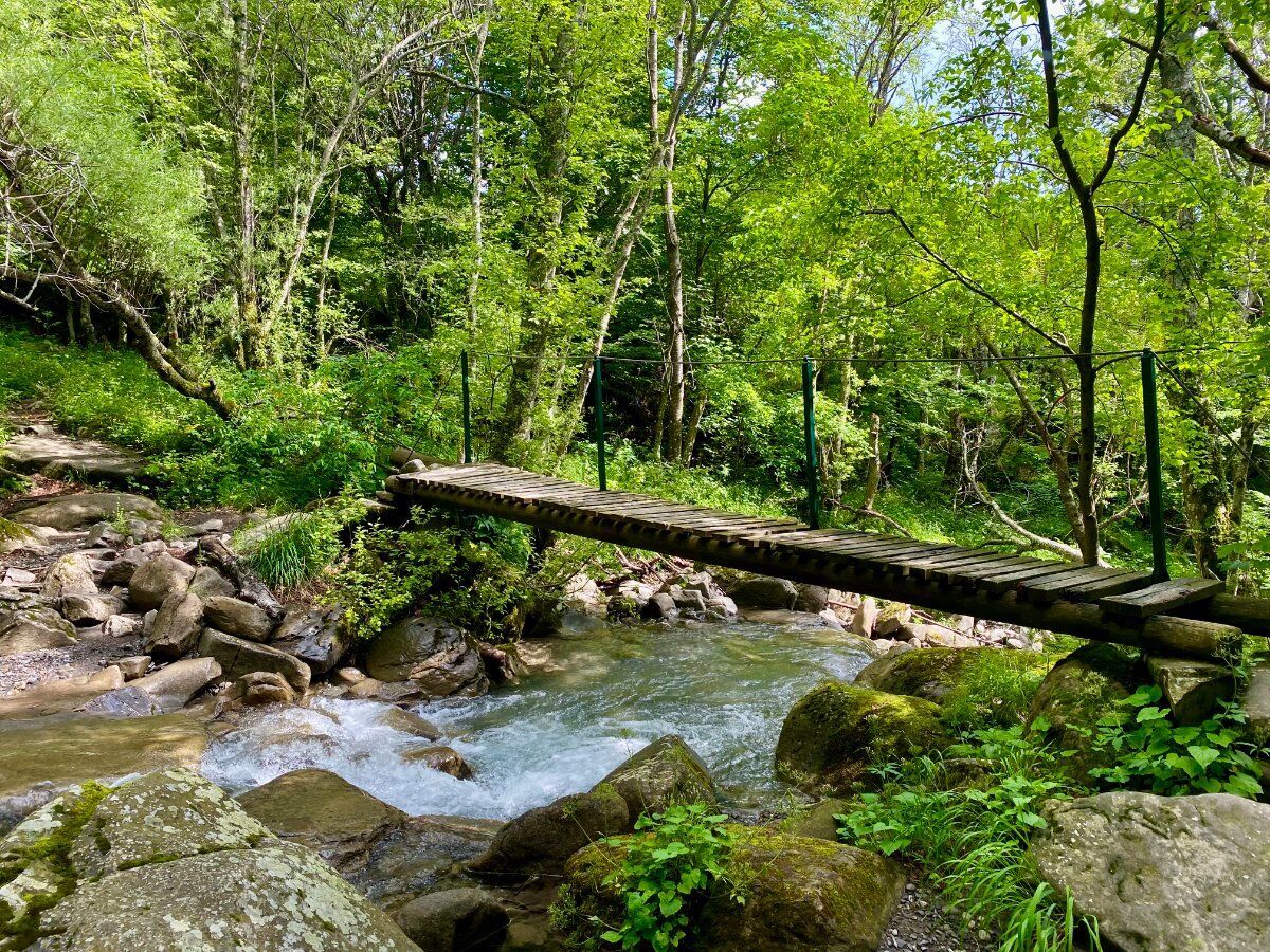Trekking ai piedi del Monte Cusna con pranzo in Osteria Trekking ai piedi del Monte Cusna con pranzo in Osteria desktop picture