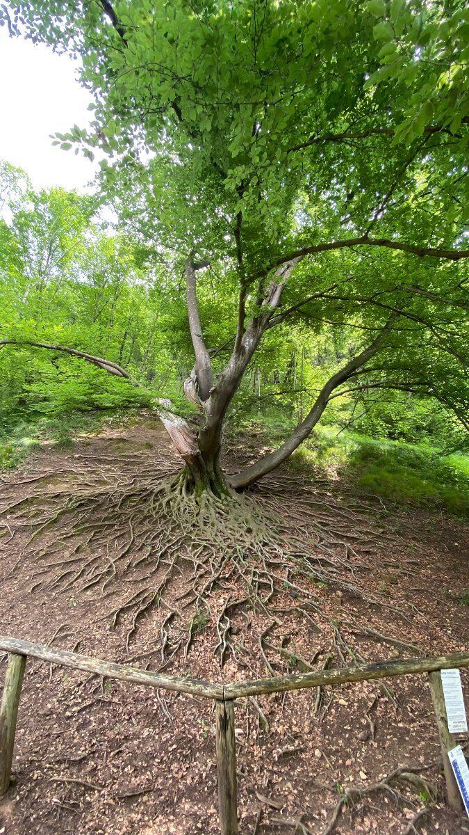 Passeggiata sulla Via dell'Acqua a Cison di Valmarino Passeggiata sulla Via dell'Acqua a Cison di Valmarino desktop picture