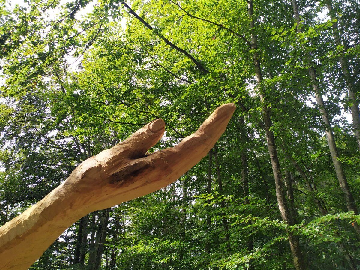 Trekking tra arte e natura sul Monte Erio Trekking tra arte e natura sul Monte Erio desktop picture