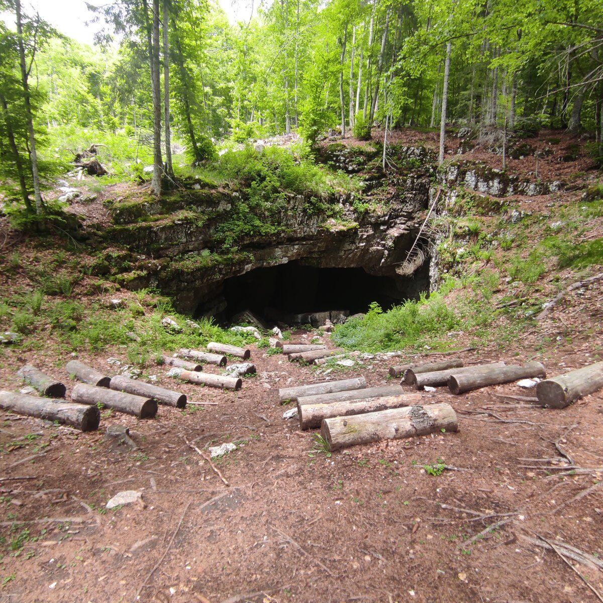 Trekking tra arte e natura sul Monte Erio Trekking tra arte e natura sul Monte Erio desktop picture