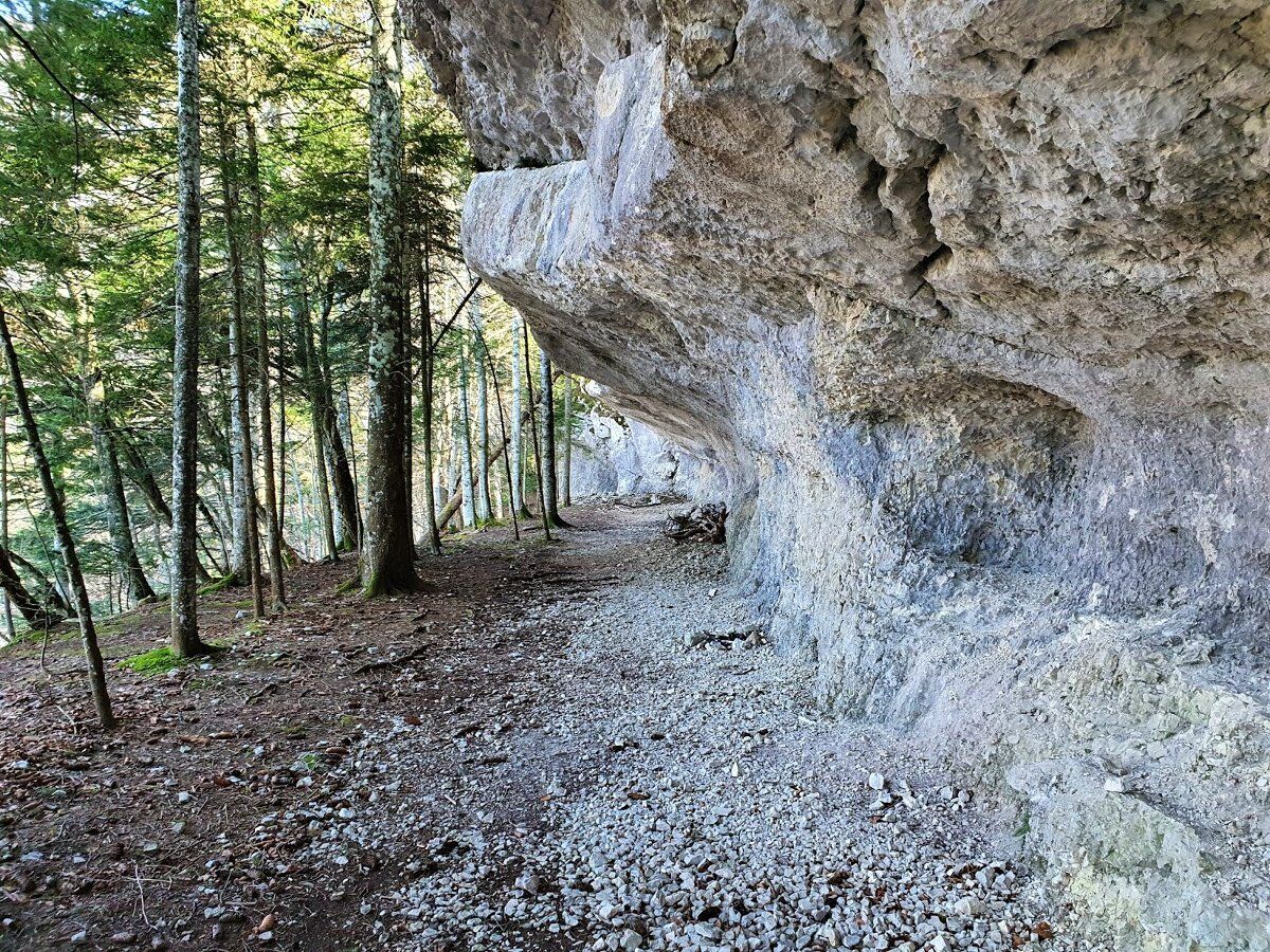 Escursione nelle terre dei Cimbri: Bostel, Altar Knotto e Alta Kugela Escursione nelle terre dei Cimbri: Bostel, Altar Knotto e Alta Kugela desktop picture