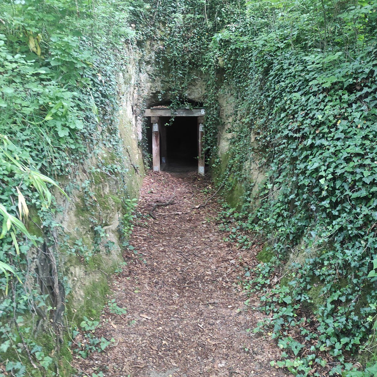 Camminata serale a San Zenone degli Ezzelini Camminata serale a San Zenone degli Ezzelini desktop picture