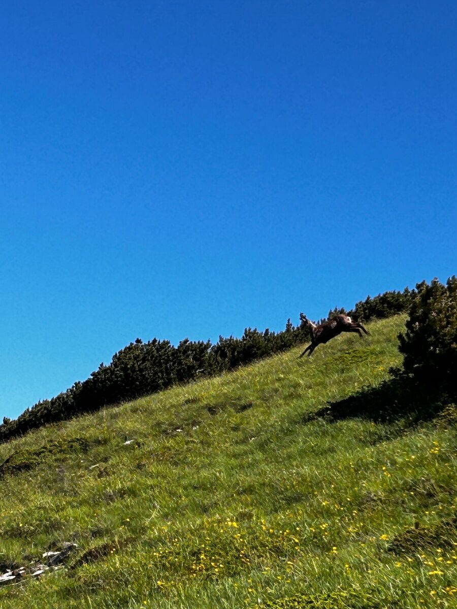 Trekking al rifugio Telegrafo attraverso il sentiero della Pastora Trekking al rifugio Telegrafo attraverso il sentiero della Pastora desktop picture