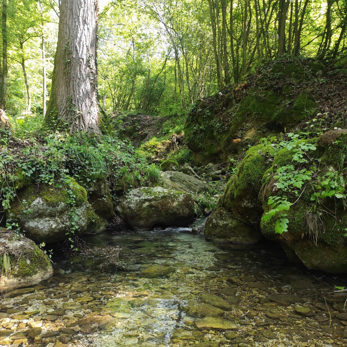 Passeggiata da Segusino a Milies attraverso il Trodo delle Acque Passeggiata da Segusino a Milies attraverso il Trodo delle Acque desktop picture