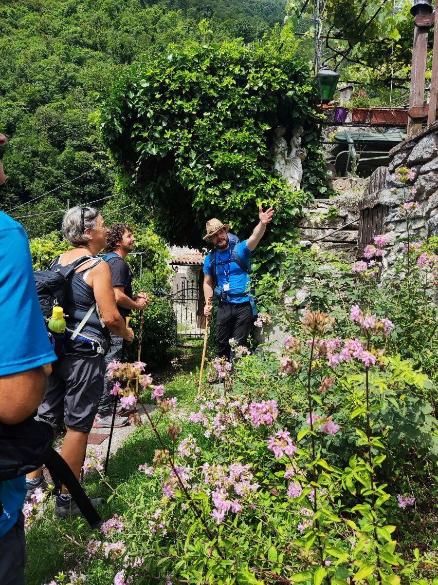 Passeggiata da Segusino a Milies attraverso il Trodo delle Acque Passeggiata da Segusino a Milies attraverso il Trodo delle Acque desktop picture