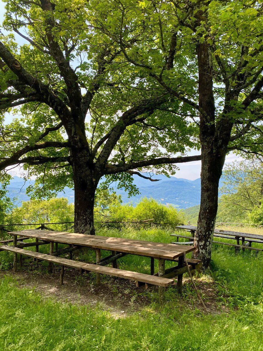 Trekking panoramico: in cima al Monte Caio Trekking panoramico: in cima al Monte Caio desktop picture