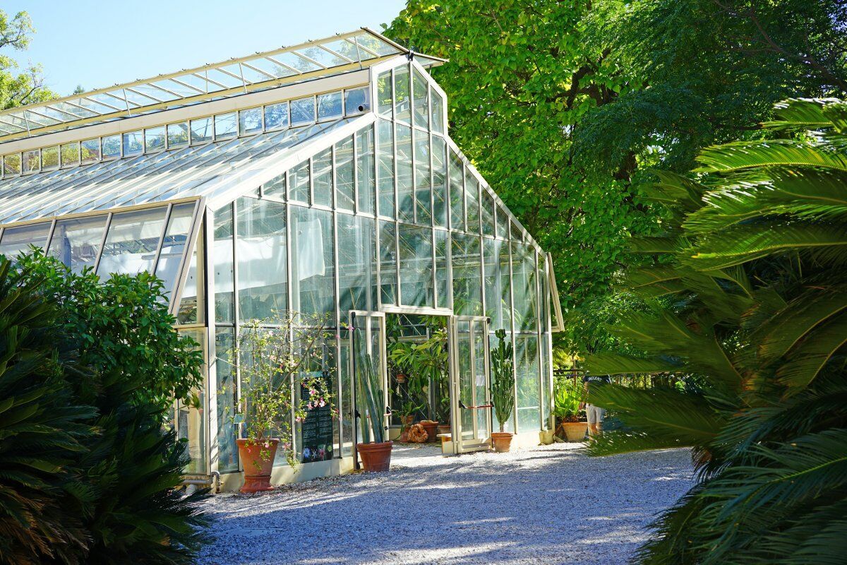 Visita all'Orto Botanico di Pisa e Aperitivo con giochi da tavolo Visita all'Orto Botanico di Pisa e Aperitivo con giochi da tavolo desktop picture