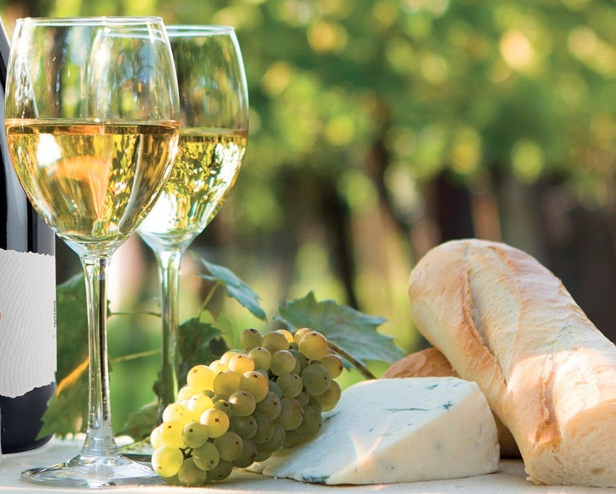 Tour guidato di Villa Verecondi Scortecci con degustazione Tour guidato di Villa Verecondi Scortecci con degustazione desktop picture