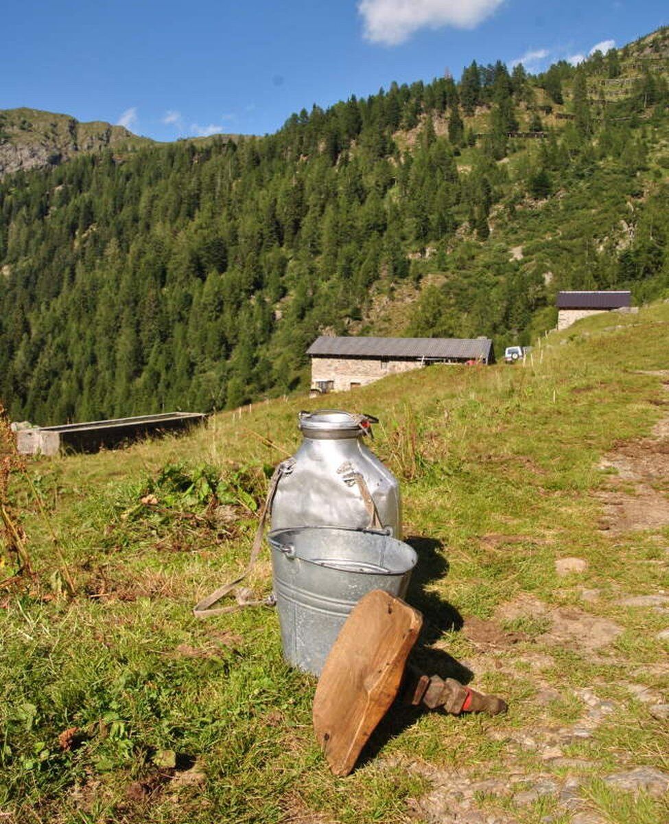 Trekking nelle Valli del Bitto: degustazione e caseificazione desktop picture