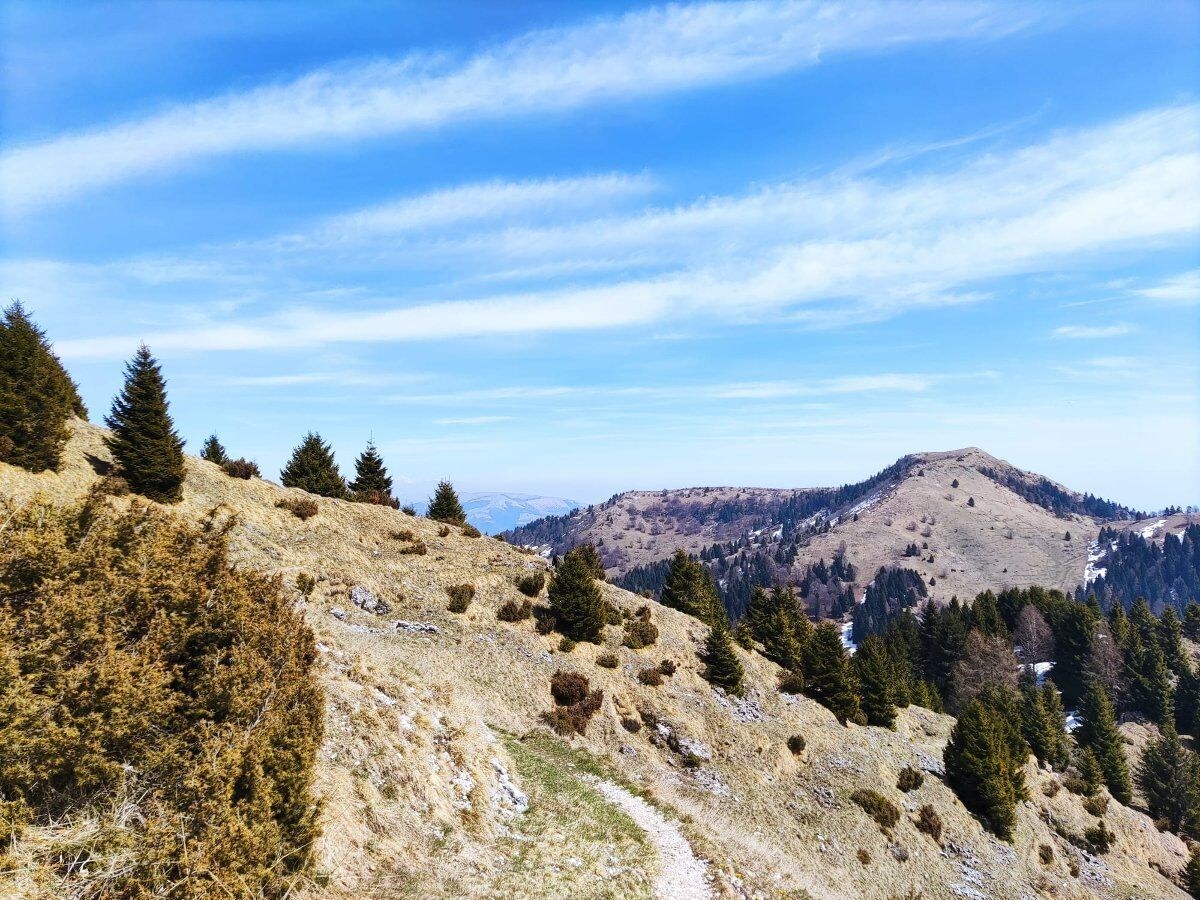 Escursione al Bosco degli Eroi dal Rifugio Bocchette Escursione al Bosco degli Eroi dal Rifugio Bocchette desktop picture