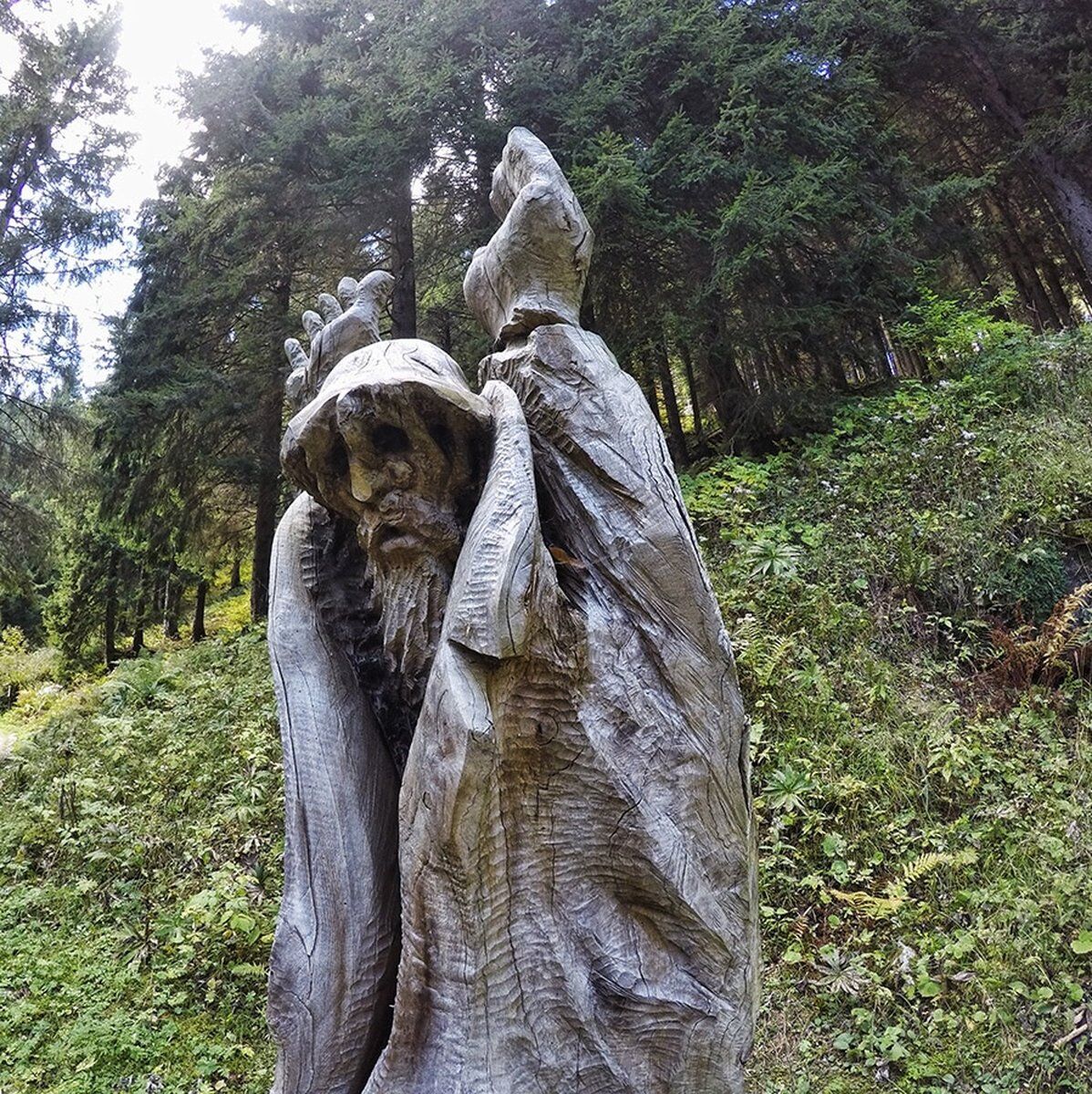 Escursione al Bosco degli Eroi dal Rifugio Bocchette Escursione al Bosco degli Eroi dal Rifugio Bocchette desktop picture