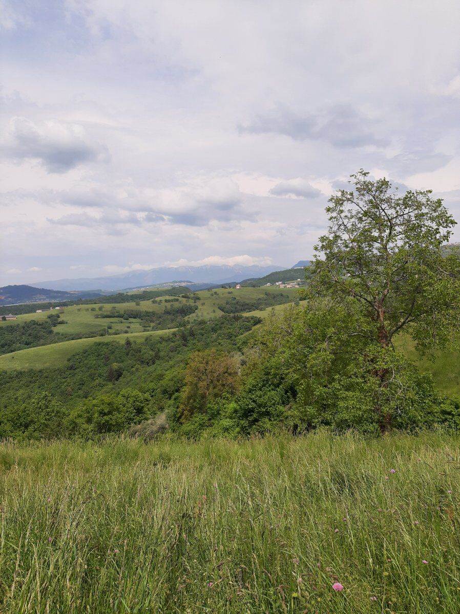 Escursione a Cerro Veronese: contrade, sorgenti e natura selvaggia Escursione a Cerro Veronese: contrade, sorgenti e natura selvaggia desktop picture