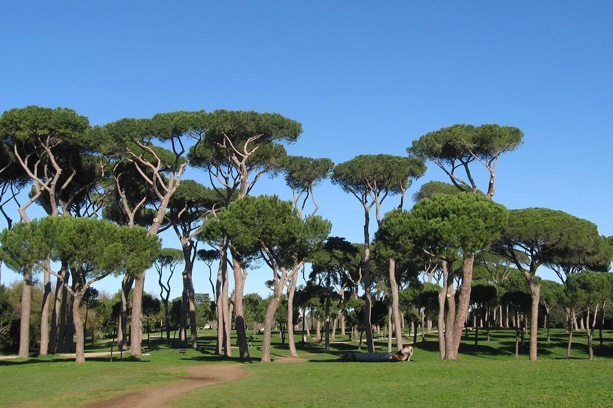 Passeggiata serale, stretching e aperitivo a Roma desktop picture