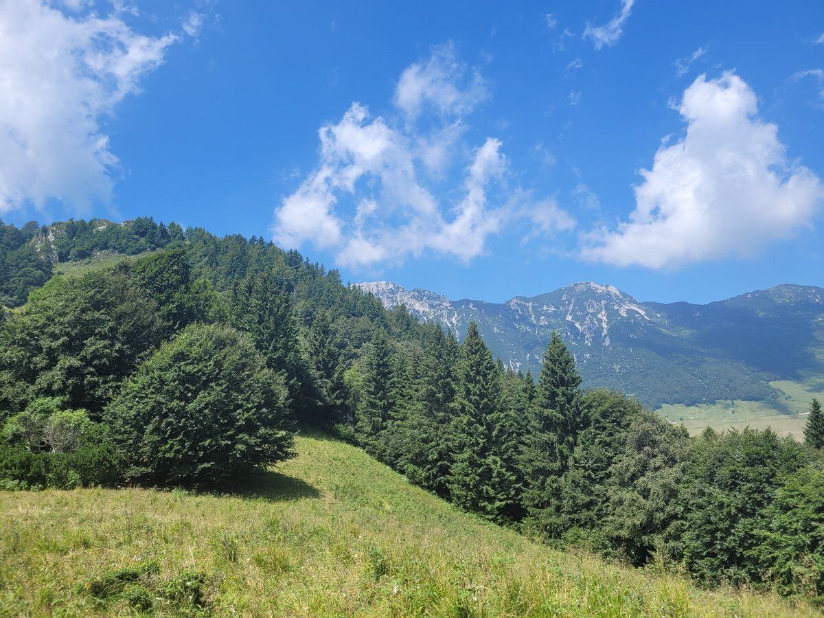 Cima delle Pozzette: escursione sul Monte Baldo Cima delle Pozzette: escursione sul Monte Baldo desktop picture
