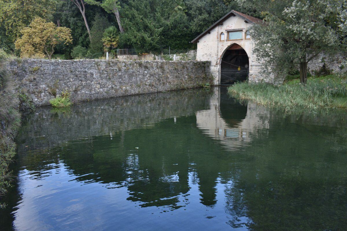 Gita panoramica sul Lago Maggiore: il Parco Golfo della Quassa Gita panoramica sul Lago Maggiore: il Parco Golfo della Quassa desktop picture