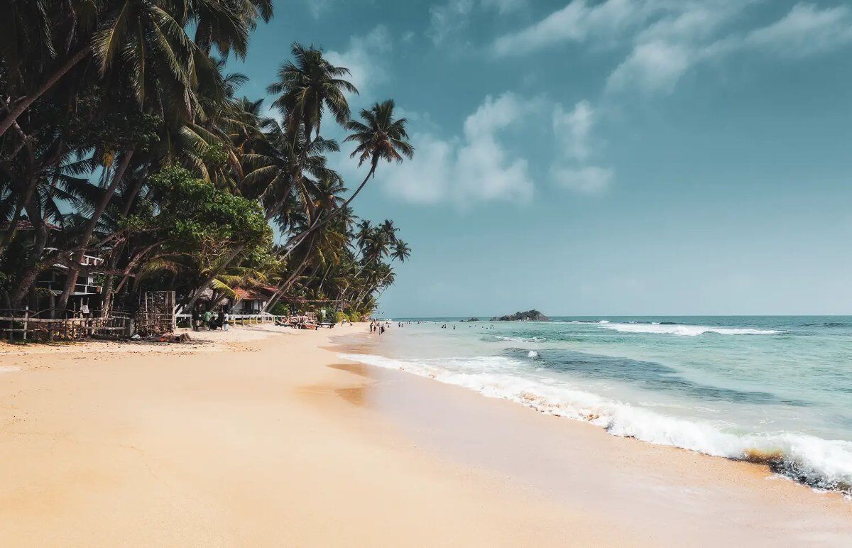Viaggio in Sri Lanka: 10 giorni di emozioni! desktop picture