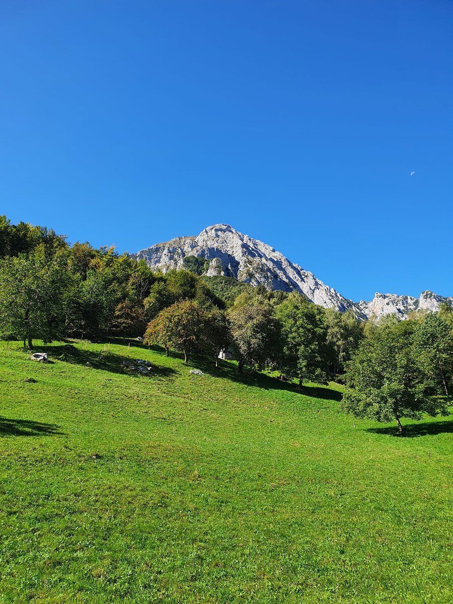 Degustazione al buio vicino Lecco: i formaggi della Valsassina Degustazione al buio vicino Lecco: i formaggi della Valsassina desktop picture