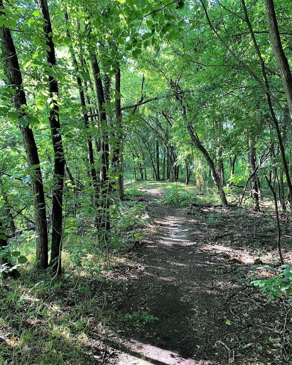 Camminata a Castelnovate: alla scoperta dell’ansa del Ticino Camminata a Castelnovate: alla scoperta dell’ansa del Ticino desktop picture