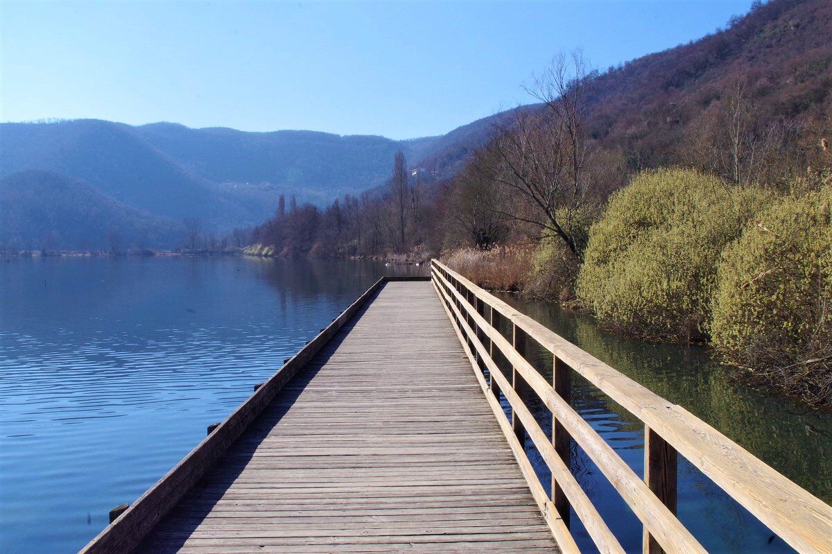 Escursione al Lago di Fimon alla scoperta della biodiversità desktop picture