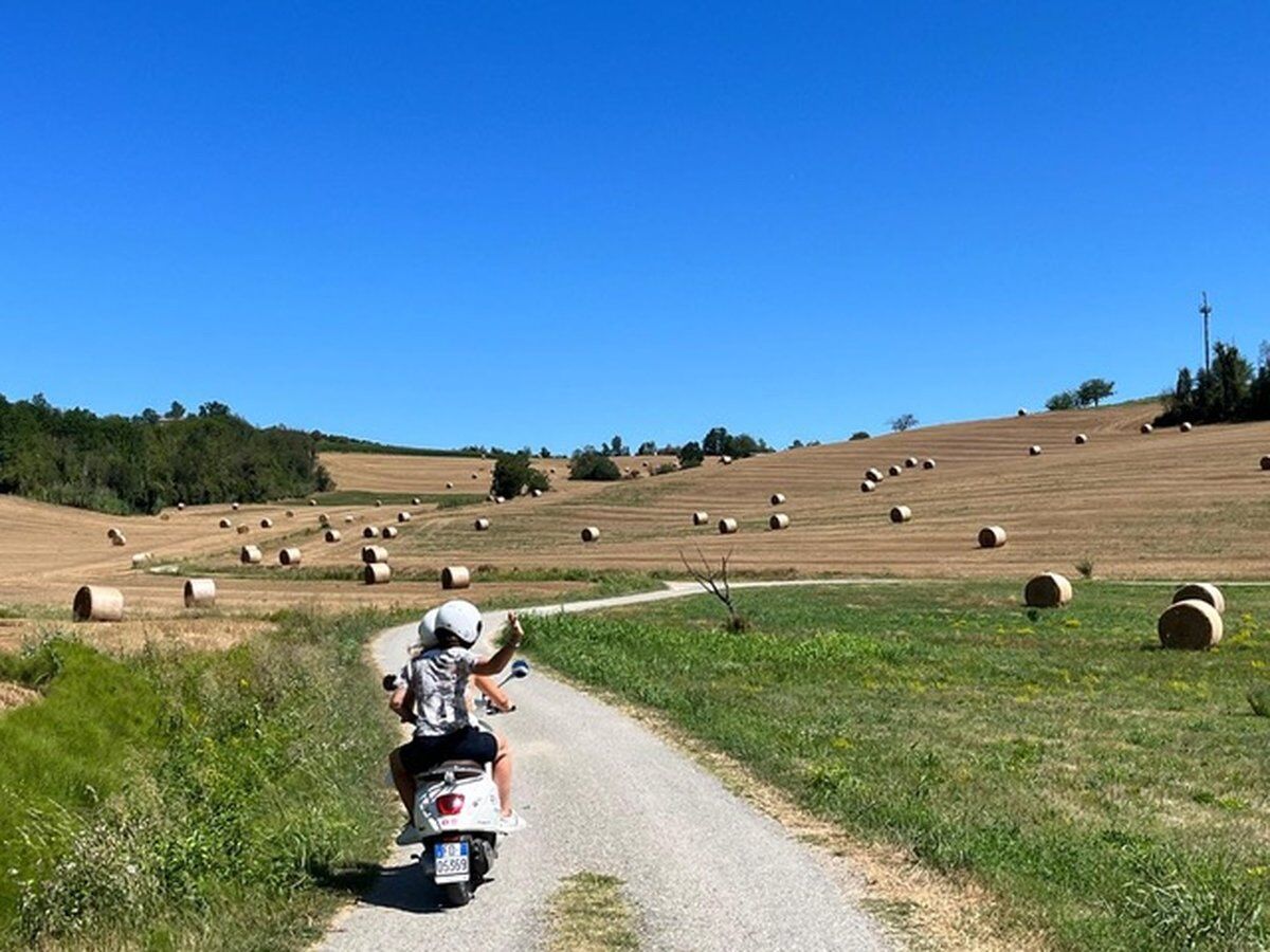Tour in Vespa tra le colline del Monferrato desktop picture