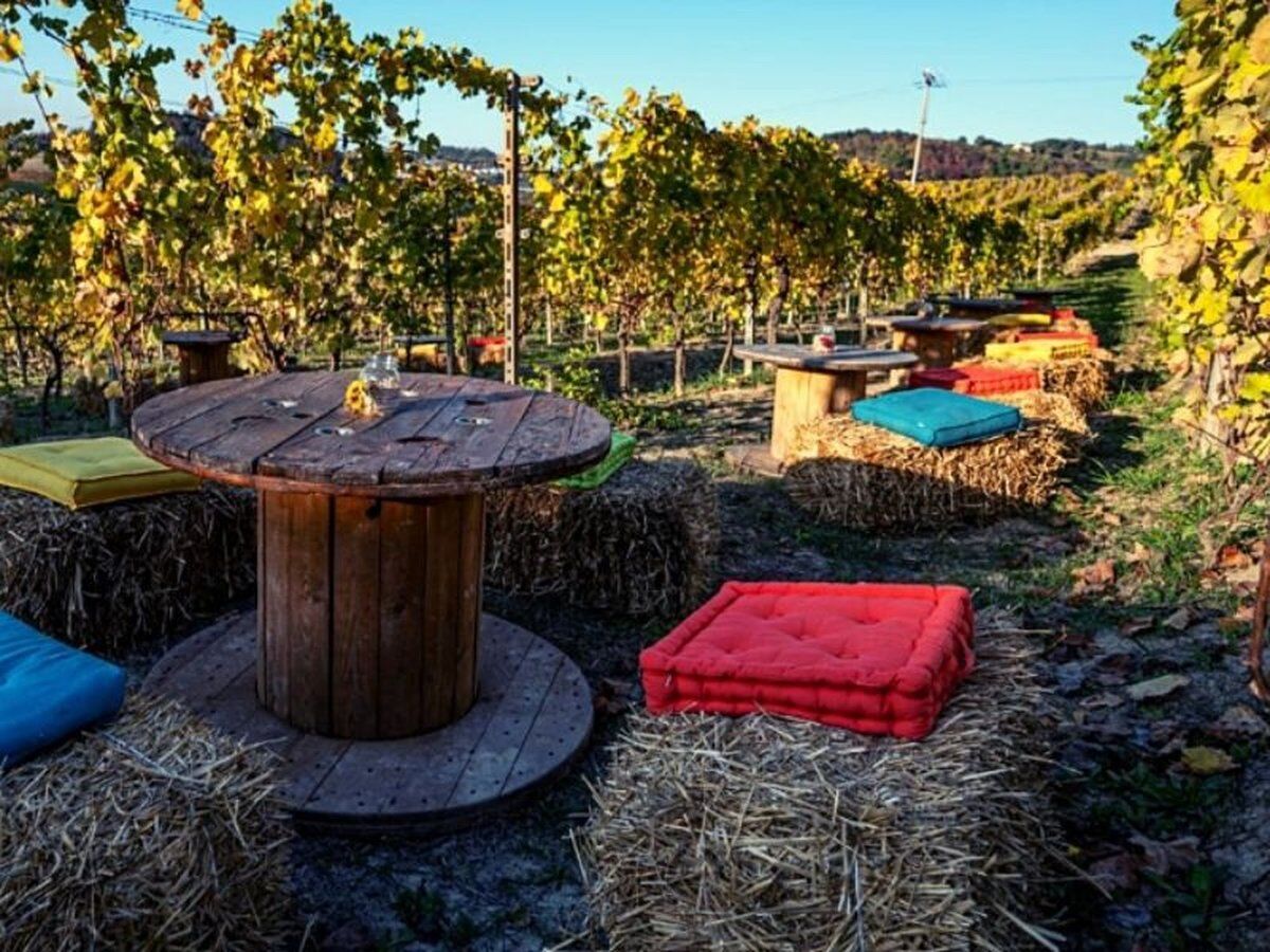 Meeters & Monfreedom: trekking e degustazioni a Sala Monferrato Meeters & Monfreedom: trekking e degustazioni a Sala Monferrato desktop picture