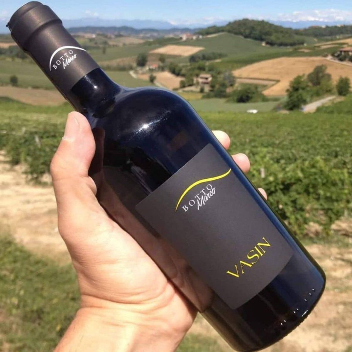 Meeters & Monfreedom: trekking e degustazioni a Sala Monferrato Meeters & Monfreedom: trekking e degustazioni a Sala Monferrato desktop picture