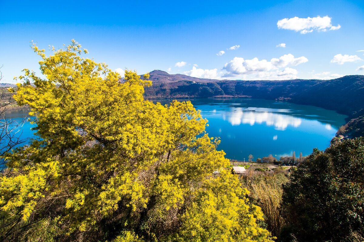 Il misterioso eremo del lago Albano: passeggiata nel bosco desktop picture