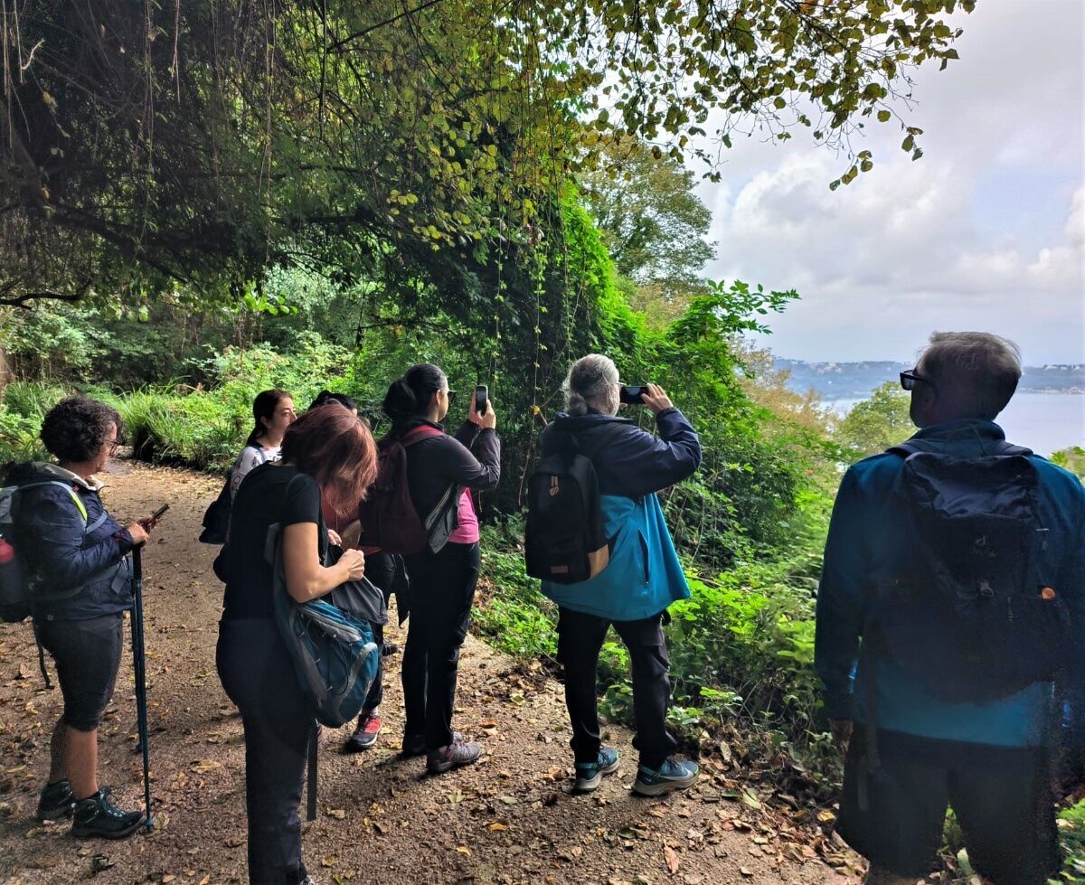 Il misterioso eremo del lago Albano: passeggiata nel bosco desktop picture