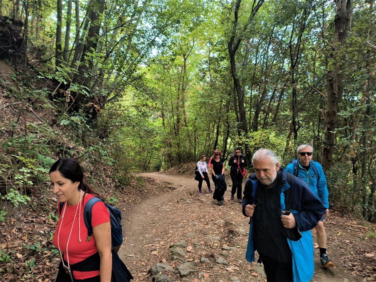Fuga nel Verde: Trekking al Lago Albano Fuga nel Verde: Trekking al Lago Albano desktop picture