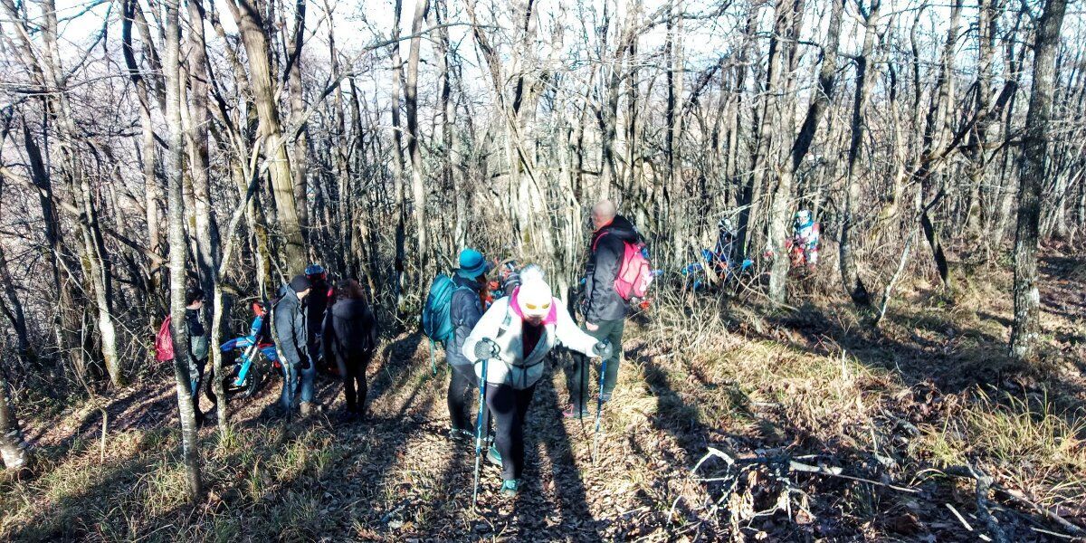 Escursione tra natura e murales nei dintorni di Tolè Escursione tra natura e murales nei dintorni di Tolè desktop picture