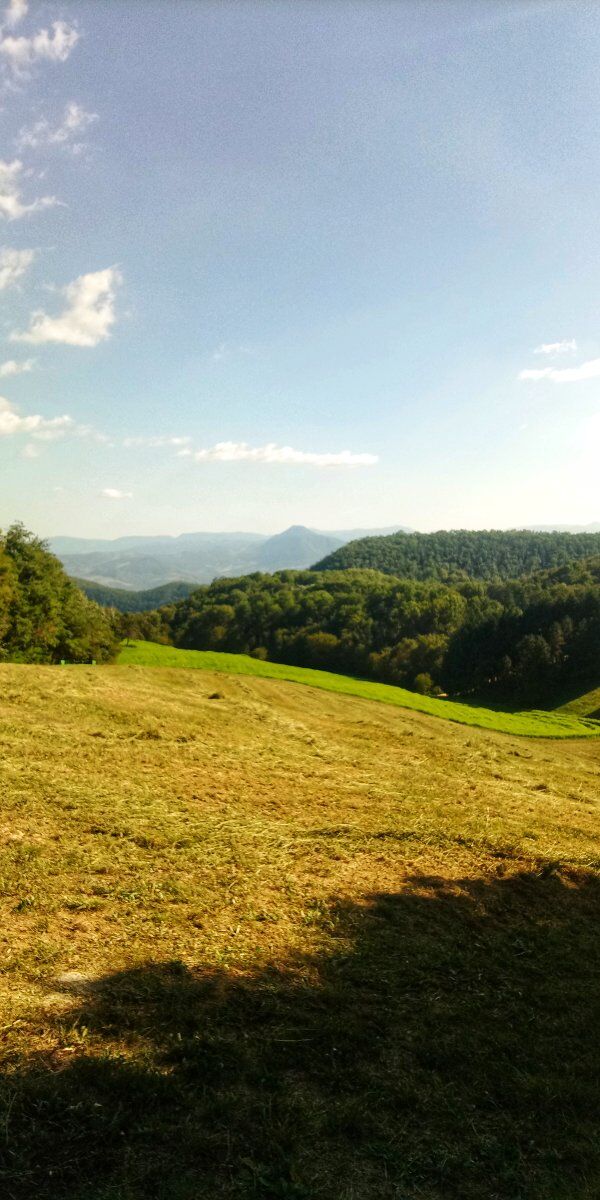 Escursione tra natura e murales nei dintorni di Tolè Escursione tra natura e murales nei dintorni di Tolè desktop picture