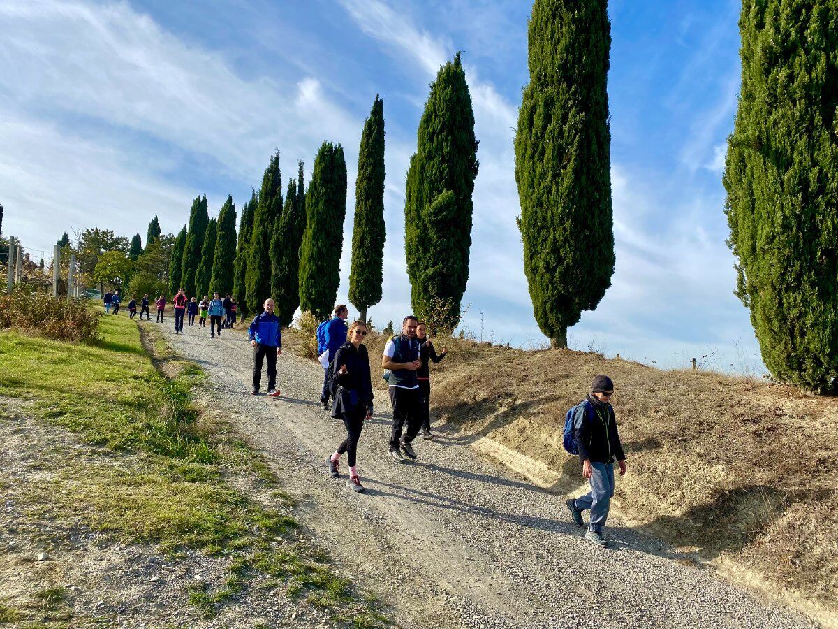 Escursione tra Vigneti e Borghi con degustazione finale Escursione tra Vigneti e Borghi con degustazione finale desktop picture