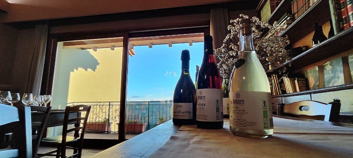 Escursione tra Vigneti e Borghi con degustazione finale Escursione tra Vigneti e Borghi con degustazione finale desktop picture